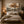 Autumn Tree by the Lake Wall Art styled in a living space