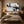 Black and White Splatter Abstract Wall Art styled in a living space