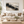 Charcoal Mountain Mist Abstract Wall Art styled in a living space