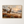 Elk in Misty Meadow Wall Art in a floating frame