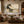 Wabi Sabi Enso Earth Tone Abstract Wall Art styled in a room